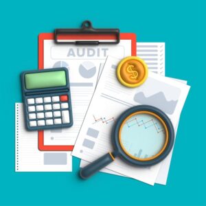 business process audit